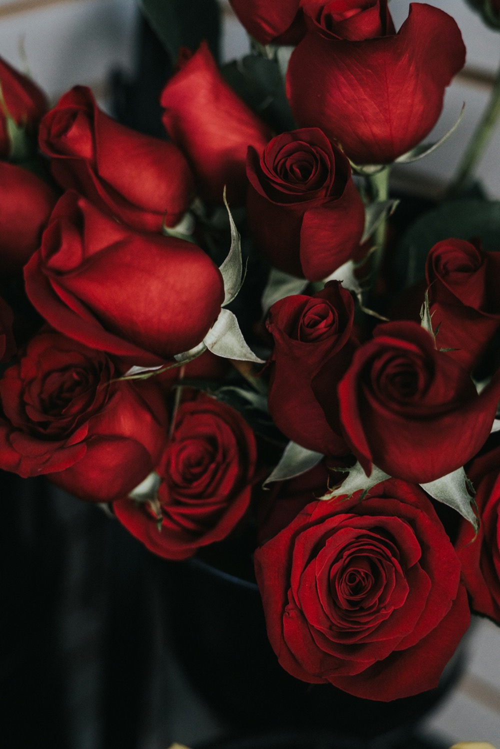 Crimson Letter — Deep red roses only